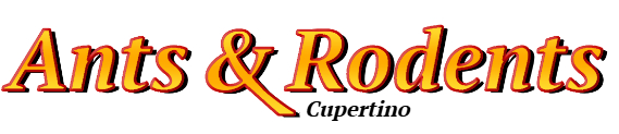 Cupertino Ant Exterminator & Rodent Control Company Logo
